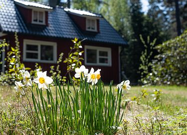 Off-grid Cabin in the middle of Swedish nature - 3
