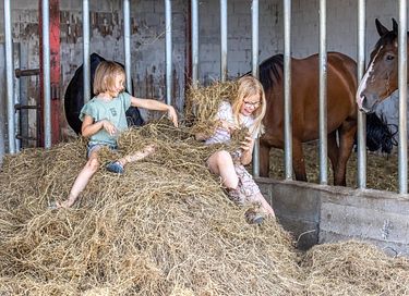 Glamping dans une ferme équestre et laitière - 18
