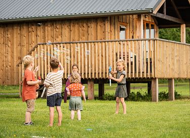 Luxe lodge in het weiland met privé hottub - 32
