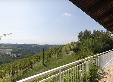 ferienwohnungen mit blick auf die weinberge - 3