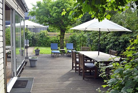 Gemütliches Ferienhaus in den Dünen von Nordholland - 2