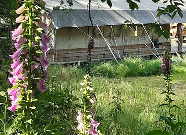 Glamping in the most beautiful Brabant place - 1