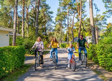 Knus tiny house (4p) op park in de bossen - 12