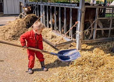 Vakantie op een speelboerderij in Limburg - 26
