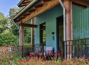 Special holiday home in nature reserve - 2