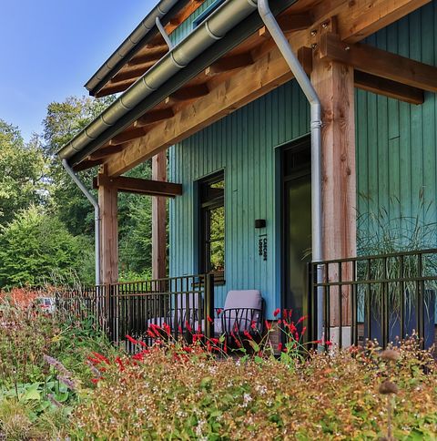 Special holiday home in nature reserve - 2