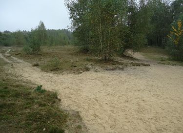Boslodge met vrij uitzicht op de natuur - 11