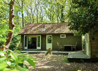 Knus boshuis met sauna in Vechtdal