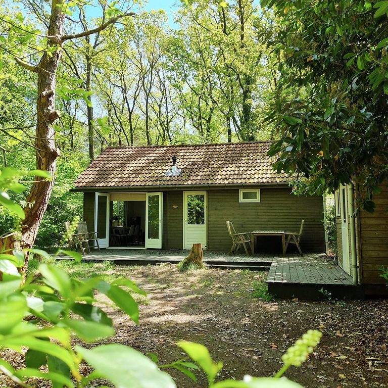 Maison dans la forêt avec sauna à Vechtdal - 1