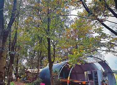 Retro-Wohnwagen auf dem Öko-Campingplatz in Groningen - 27