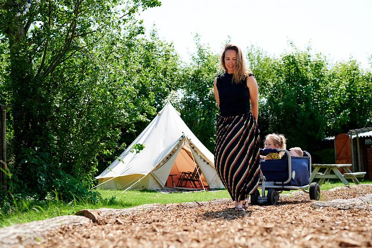 Leuke glamping tent (5 pers) in Brabant - 1