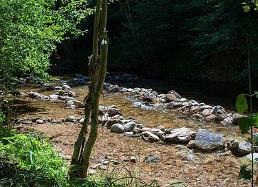 Tente glamping en forêt pour 5 personnes - 21