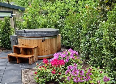 Spacious chalet in Drenthe with a hot tub - 2
