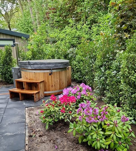 Spacious chalet in Drenthe with a hot tub - 2