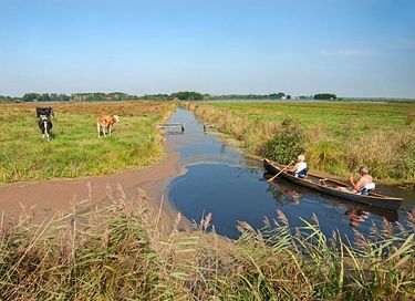 Natuurhuisje Friesland voor 2 personen - 15