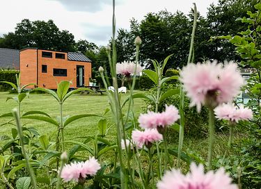 Tiny House op de Veluwe - 4