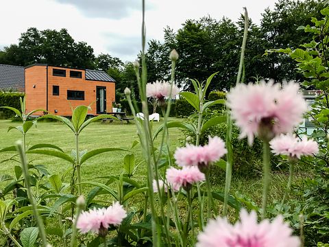 Tiny House op de Veluwe - 4