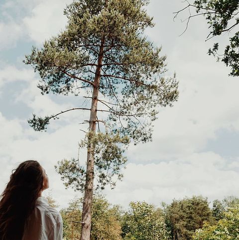 Design tent op de Veluwe voor 5 personen - 3