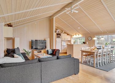 Feriehus med wellness i Danmark - 11