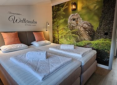 Luxuriöse Ferienvilla mit Wellness auf dem Lande - 27