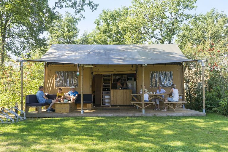 Glamping tent on nice campsite in Hardenberg - 1