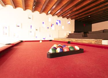 Uniek boshuis (55 pers) met bar & wellness - 21