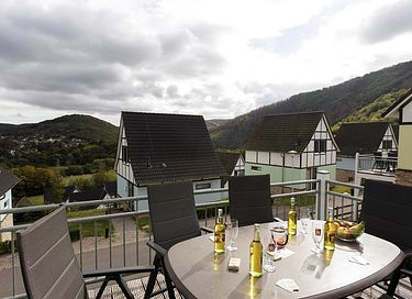 Luxury vacation home in Germany with sauna - 15