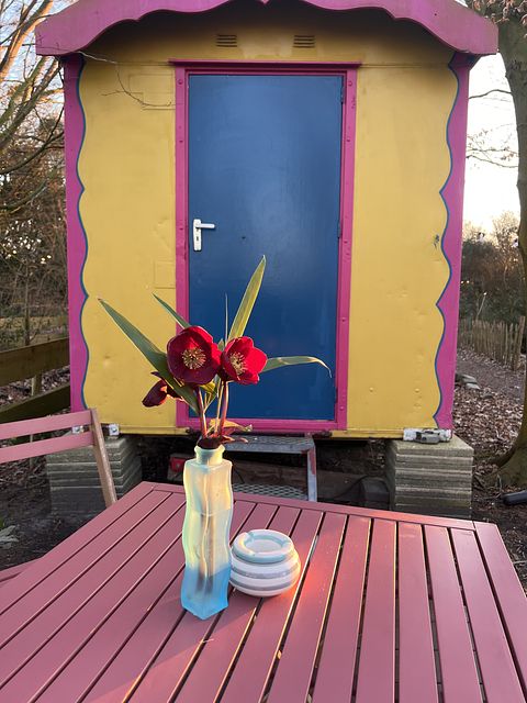 Colorful gipsy wagon in the Groningen forest - 2