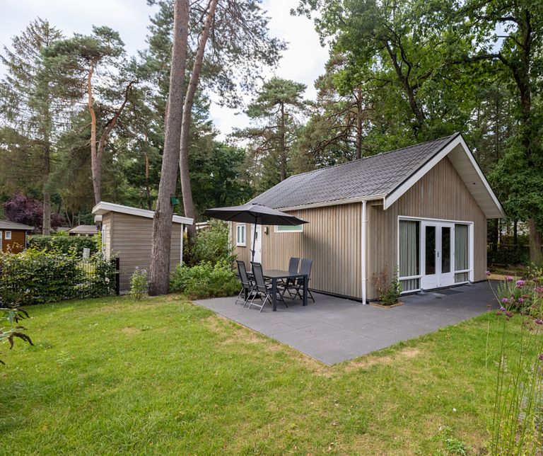 Boslodge op een vakantiepark in Gelderland - 1