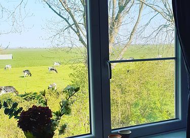 Kamer op een boerderij in landelijk Amsterdam - 11
