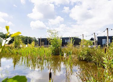 Tiny House voor 2 op groen park in Drenthe - 34