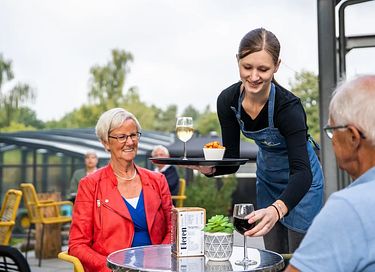 Luxe chalet midden in de Drentse natuur - 25