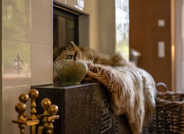 Logement de vacances dans les bois avec cheminée - 7