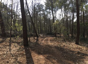 Natuurhuisje in eigen bos met openhaard - 14