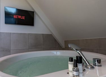 Wellness villa at the forest on Texel - 19