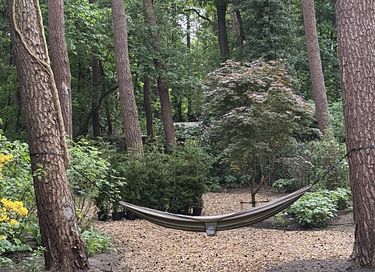 Boshuis met wellness in Drenthe - 32