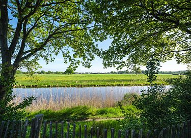 Wellnessdome aan het water met hottub - 15