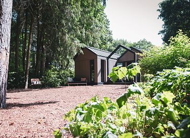 Design vakantiehuisje op de Veluwe - 16