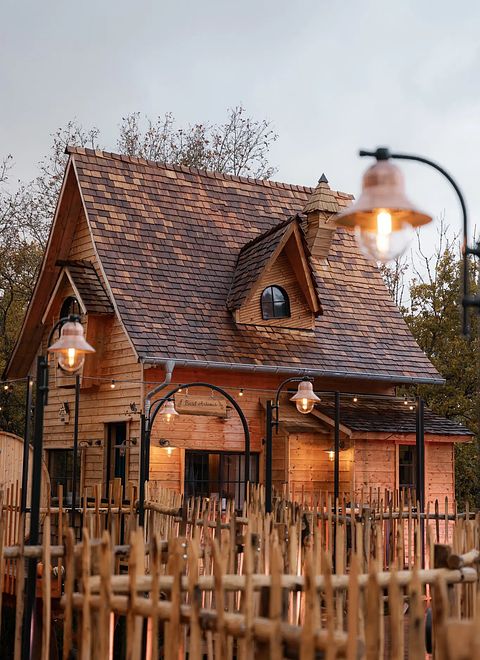 Lodge de luxe dans les arbres avec sauna - 3