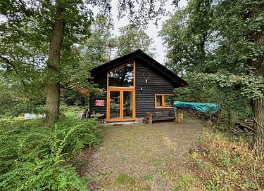 Houten vakantiehuis in het bos op de Veluwe - 6