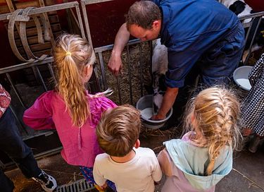 Glamping at Dairy Cattle & Calves Farm - 10