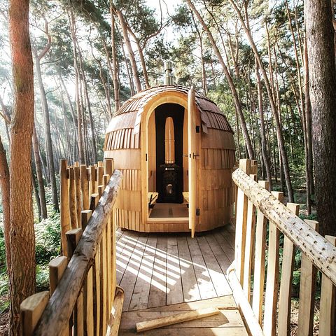 Prachtige boomhut in de Belgische natuur - 2