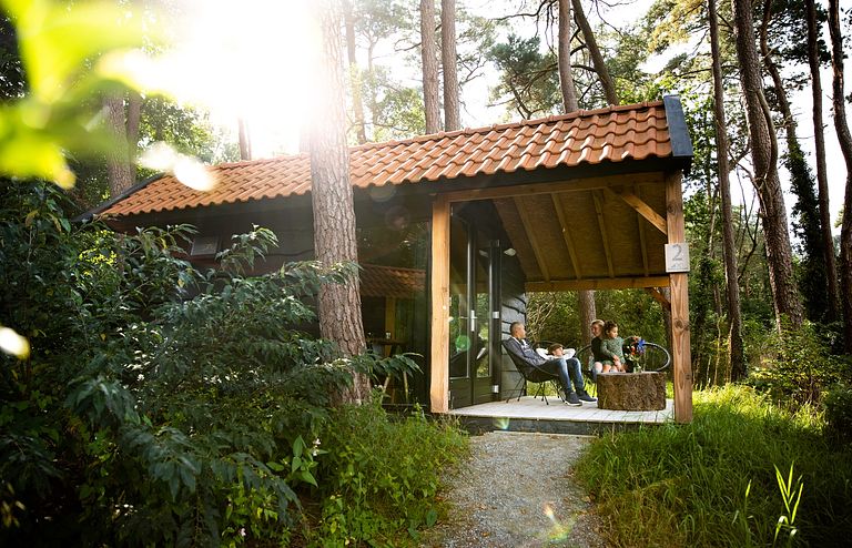 Trekkershut (4p) op leuke camping in het bos - 1