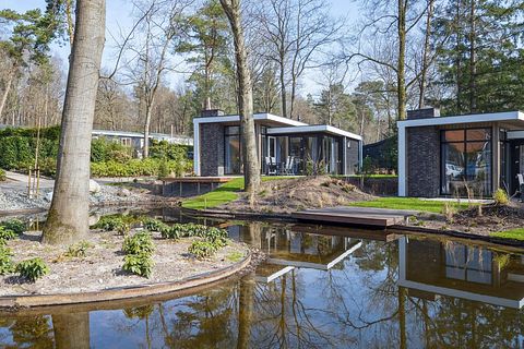 Logement de vacances sur la Veluwe - 2