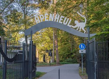 Chalet douillet au Veluws Park, chiens bienvenus - 25