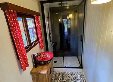 Cute shepherds hut with private hot tub in nature - 16