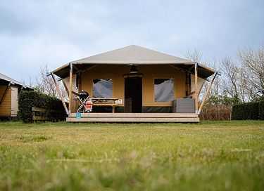 Prachtige familiecamping op Ameland - 6