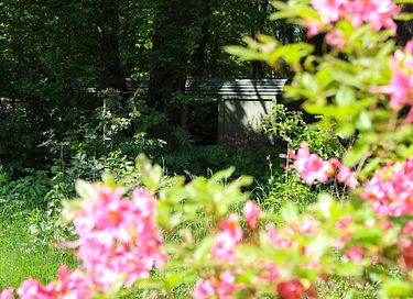 Roulotte tzigane dans les bois avec cheminée - 16