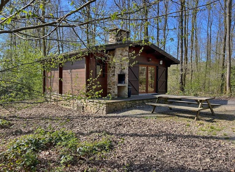 Dog-friendly cottage in the Ardennes - 1