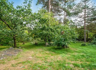 Maison de vacances dans la nature - 4